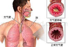 医生讲解：肺病如何治疗